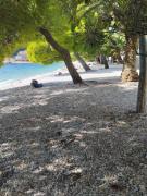 Apartments Andrea Apartments Andrea