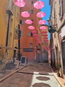 Top Grasse Top Grasse