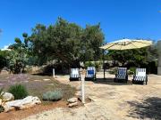 Aquarium - Villa con accesso al mare - parcheggio