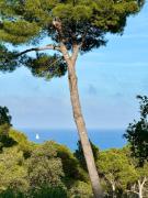 Apartment, short walk to the beach