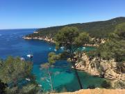 Top Bandol Top Bandol