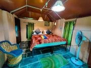 Top Kangra