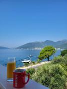 Top Tivat