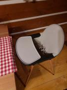 Top Teplice nad Metují