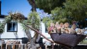 Top Pioneertown