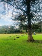 Casa de Campo - Chácara em Curitiba Santa Felicidade