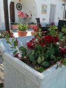 Top Agerola