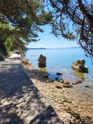 Apartmani Centar Apartmani Centar