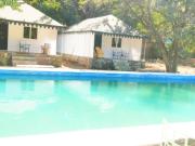 Top Udaipur