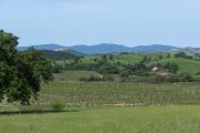 Top Magliano in Toscana