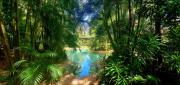 Top Cooktown Top Cooktown
