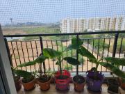 Top Siruseri
