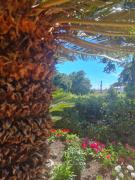 Il Sogno delle Rondini