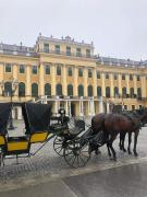 Top Vienna