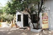 Top Mahabaleshwar