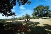 Top Mahabaleshwar