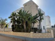 Top Protaras