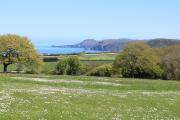 Top Aberporth