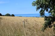 Top Aberporth