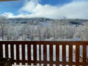 Grand appartement Ancelle