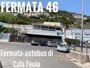 Top Ponza