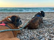 Top San Vito Chietino