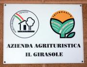 Top Oriago Di Mira