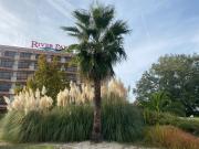 Top Sunny Beach