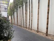 Condesa Residence Amsterdam 102 Stylish 1 bed1 Bath on Amsterdam Av