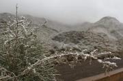 Top Mendoza