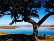 Top Póvoa de São Miguel