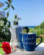 Il giardino di Alessandra