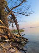 Top Stepnica Top Stepnica