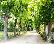 La Grange de Saint-Martin Les écuries du Chateau St-Martin