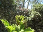 Top Sainte-Marguerite