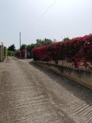 Top Castellammare del Golfo Top Castellammare del Golfo