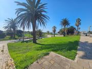 Wavecrest at the Beach