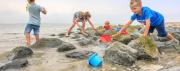 Chalet op vakantiepark in Baarland