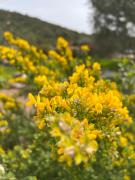 Hotel les jardins Sta Giulia avec piscine