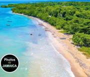 Adorable 1B Cottage Walk to the beach