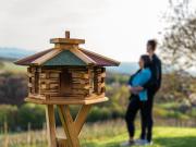 Top Miklavž pri Ormožu