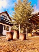 Top Muntele Băişorii