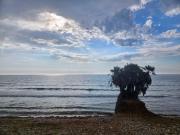 Top Oropesa del Mar