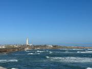 Top Casablanca
