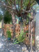 Top Xã Trảng Bôm