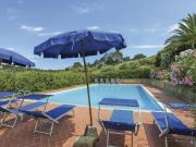 Top Palaia Top Palaia