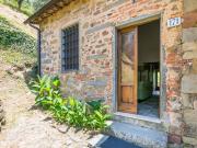 Top Medicina Top Medicina