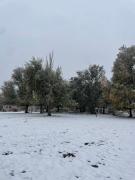 Top Tunuyán Top Tunuyán