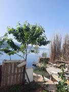 Top Pogradec