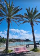 Top Lerici